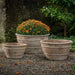 Mera Planter - Antico Terra Cotta - S/3 filled with orange flowers in the backyard