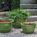 Mera Planter in Brunello on concrete in the backyard.