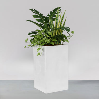 Miami Short Corner Fiberglass Planter filled with plants against gray background.