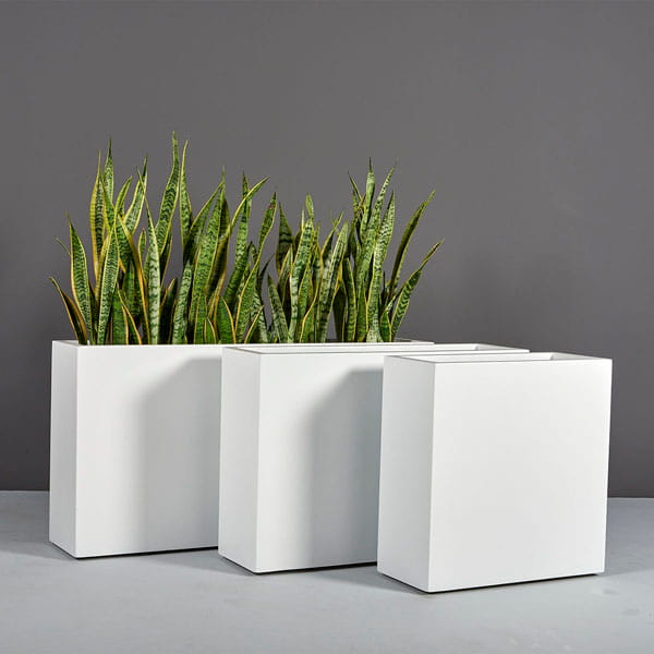 Milano Narrow Rectangle Planter against gray wall filled with plants. 
