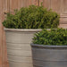 Mill Valley Planter filled with plants upclose.
