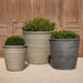 Mill Valley Planter shown in different sizes filled with plants.