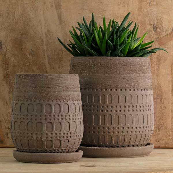 Mojave Planter - Carob - S/4 filled with plants