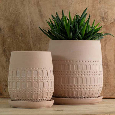 Mojave Planter - Shell - S/4 filled with plants