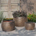 Montauk Planter - Bronze - S/3 on concrete filled with plants