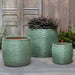 Montauk Planter, Tall - Sea Green - S/3 on concrete filled with plants