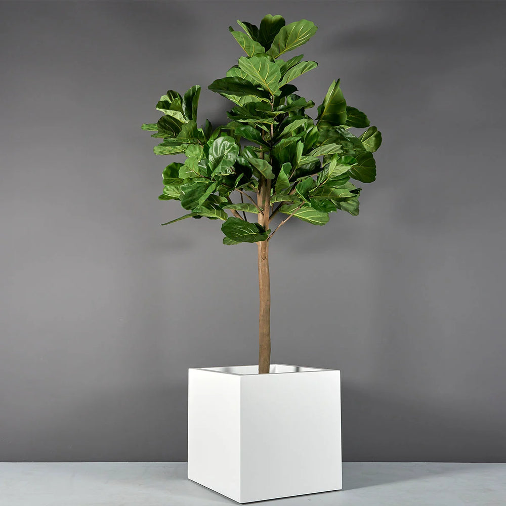 Montroy Cube Fiberglass Planter on concrete filled with plants.