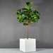Montroy Cube Fiberglass Planter on concrete filled with plants.