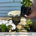 Moreland Urn Planter on wooden surface beside white flowers