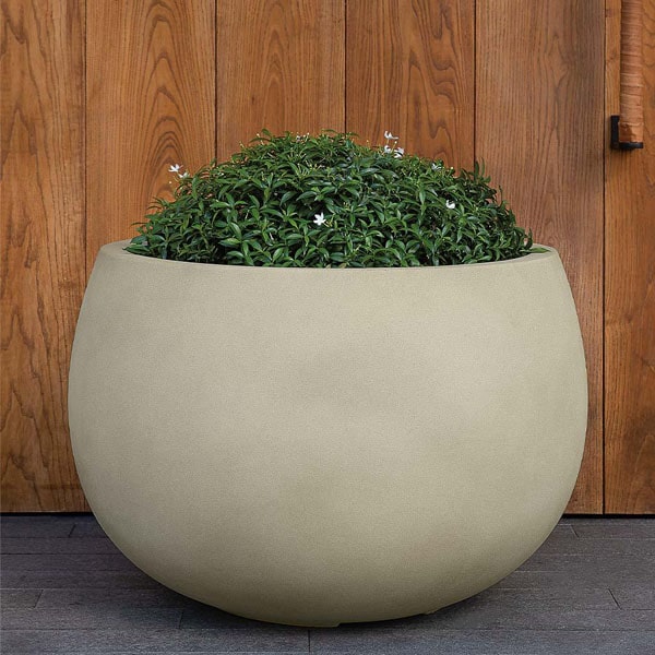 Norfolk Planter, Medium Campania International