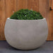 Norfolk Planter Medium in stone grey lite on concrete filled with plants.