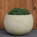 Norfolk Planter, Small in ivory lite filled with plants