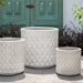 Oriel Planter in glazed antique white on concrete in the backyard.