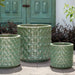 Oriel Planter in glazed sea green on concrete in the backyard.