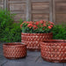 Oriel Planter, Low in glazed brunello on concrete filled with plants.