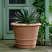 Pienza Planter - Terra Cotta - S/1 on concrete filled with plants