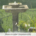 Portwenn Fountain in action in the backyard upclose.