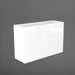Potsdam Rectangle Fiberglass Planter in gloss bright white against gray background.