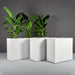 Potsdam Rectangle Fiberglass Planter shown with different sizes filled with plants.