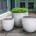 Rafi Planter - Pearl - S/3 on concrete filled with plants