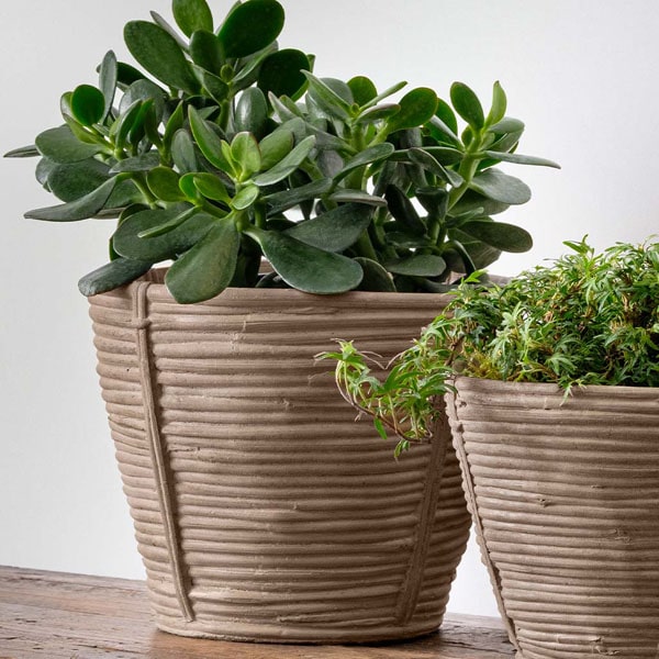 Reed Planter, Large in brown filled with plants