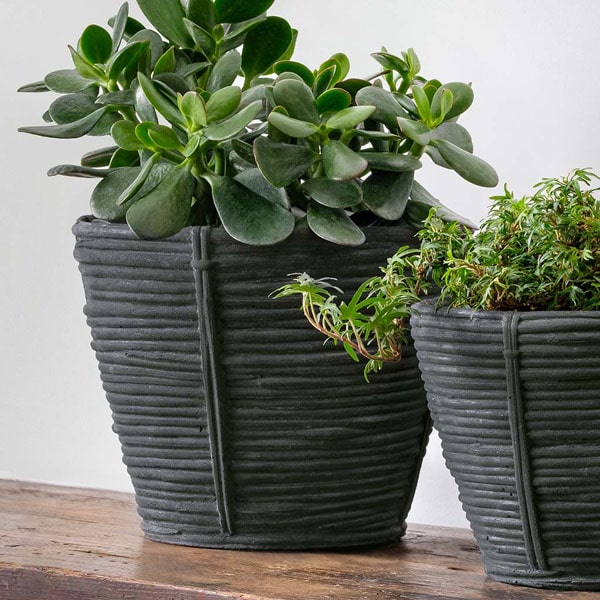 Reed Planter, Large in charcoal filled with plants