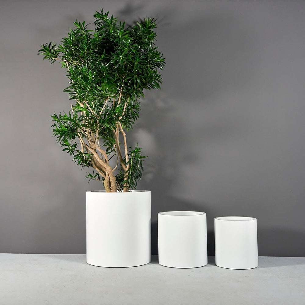 Rio Grande Cylinder Fiberglass Planter shown in different sizes filled with plants.