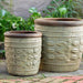 Rustic Leaf Pot Planter - Rustic Sand - Set of 2 on concrete in the backyard