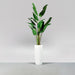 Saint Tropez Tall Bullet Round Fiberglass Planter on concrete filled with plants.
