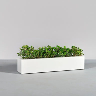 Salon Narrow Rectangle Fiberglass Planter on concrete filled with plants.