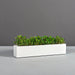Salon Narrow Rectangle Fiberglass Planter on concrete filled with plants.