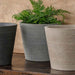 Samba Planter - Grey on table filled with planter filled with plants