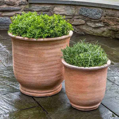 Sami Urn Planter - Terra Cotta - S/2 on the concrete filled with green leaves