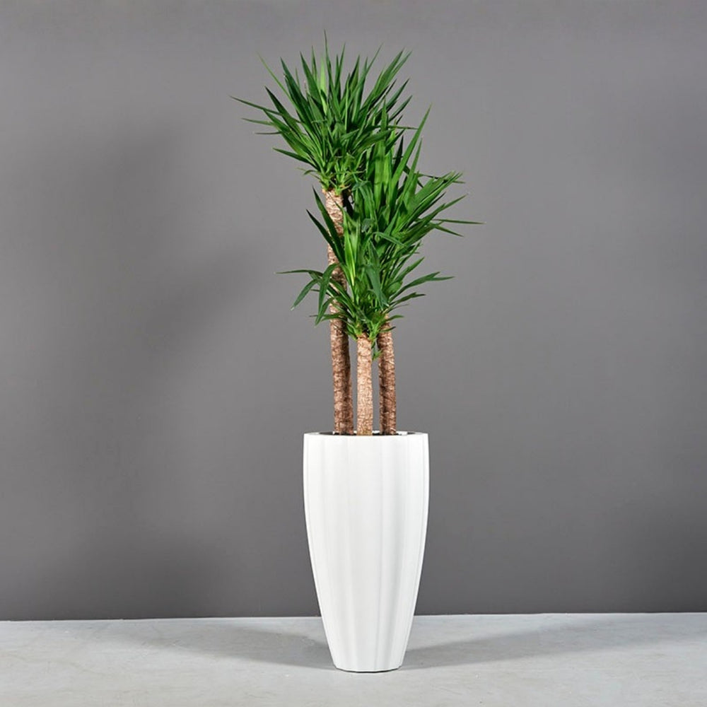 San Jose Tall Fluted Round Fiberglass Planter on concrete filled with plants.
