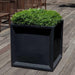 Sandhurst Square Planter in Onyx Black filled with plants