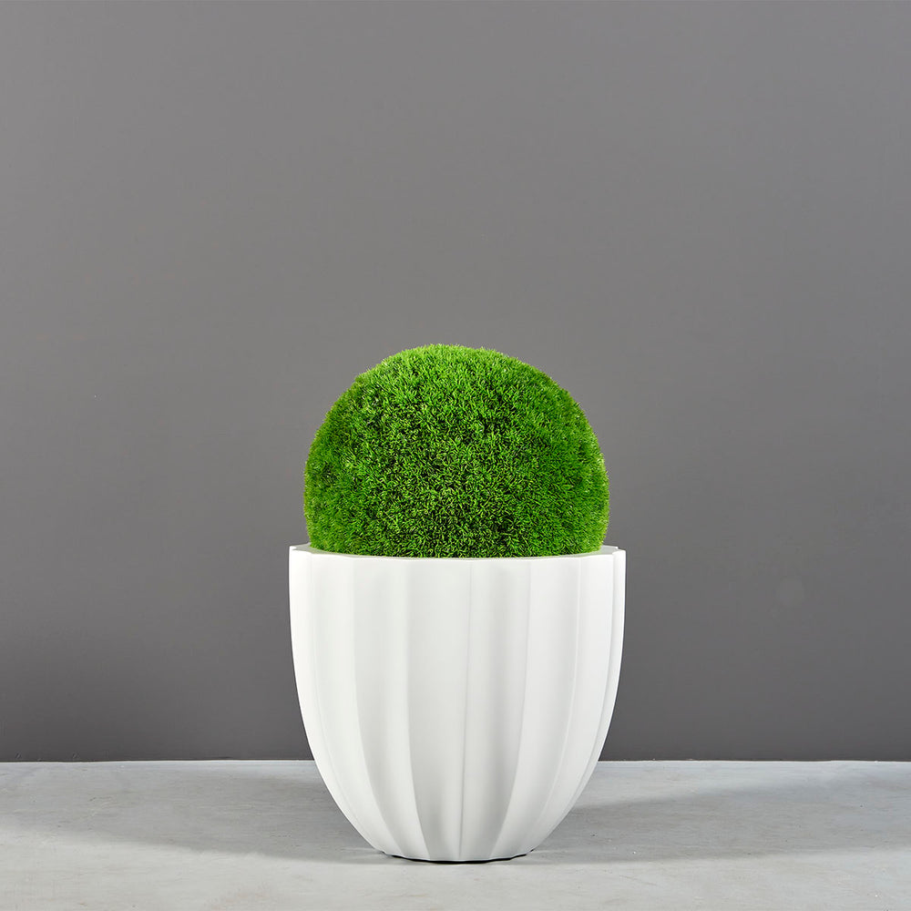 Santa Barbara Fluted Round Fiberglass Planter on concrete filled with plants.