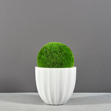 Santa Barbara Fluted Round Fiberglass Planter on concrete filled with plants.
