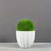 Santa Barbara Fluted Round Fiberglass Planter on concrete filled with plants.