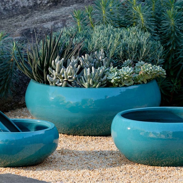 Sasha Planter - Agave - S/4 on gravel in the backyard