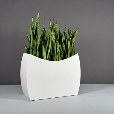Seoul Modern Curved Rectangle Fiberglass Planter on concrete filled with plants.