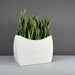 Seoul Modern Curved Rectangle Fiberglass Planter on concrete filled with plants.