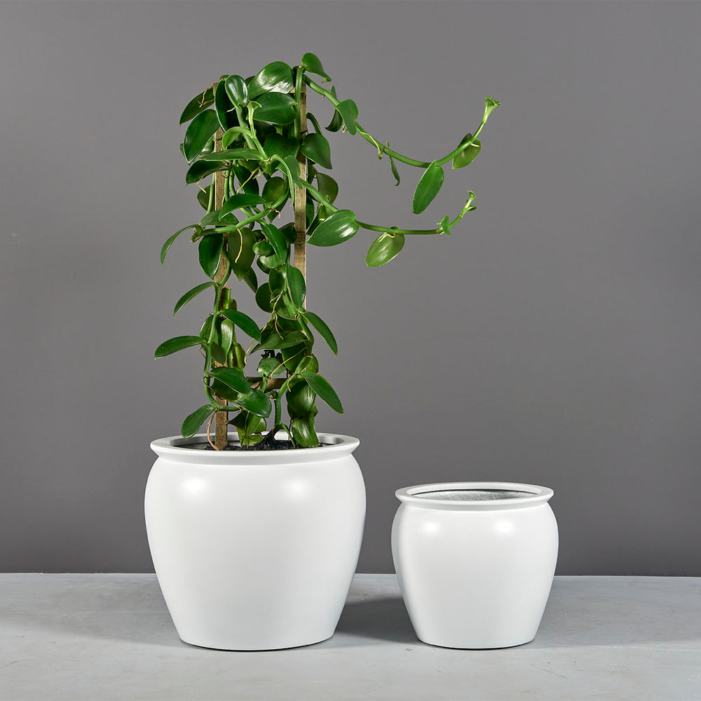 Shanghai Fishbowl Fiberglass Planter shown with different sizes filled with plants.