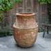 Siracusa Jar Planter - Vicolo Mattone - S/1 on concrete in the backyard