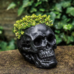 Skull Planter filled with plants in the backyard