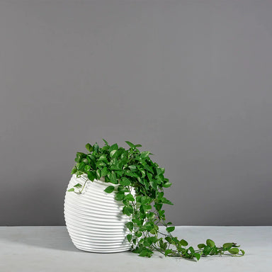 Spiral Globe Fiberglass Planter on concrete filled with plants.