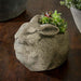Stone Bunny Planter on table filled with plants.