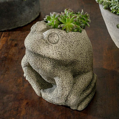 Stone Frog Planter on table filled with plants.