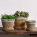 Tall Cylinder Farmers Pot Planter - Cotswold White - S/12 on the table with gray background