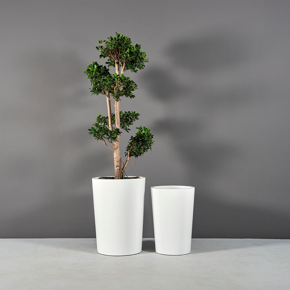 Tagel Tapered Round Fiberglass Planter shown with different sizes filled with plants.