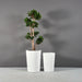 Tagel Tapered Round Fiberglass Planter shown with different sizes filled with plants.